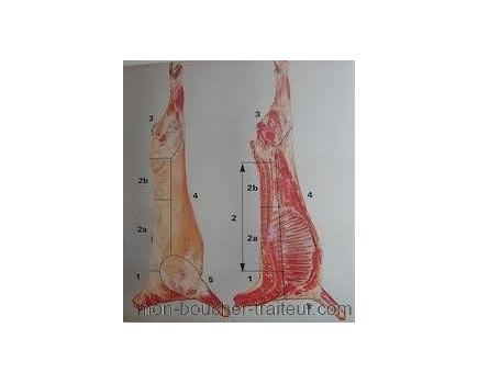 1/2 Agneau Pré-salé prêt à cuire